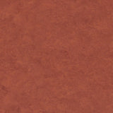 Tarkett Veneto xf2 Linoleum