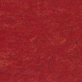 Tarkett Veneto xf2 Linoleum