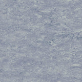 Tarkett Veneto xf2 Linoleum