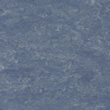 Tarkett Veneto xf2 Linoleum