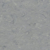 Tarkett Veneto xf2 Linoleum