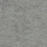 Tarkett Veneto xf2 Linoleum