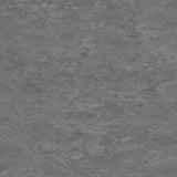 Tarkett Veneto xf2 Linoleum
