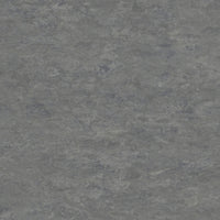Tarkett Veneto xf2 Linoleum Steel 673 Linoleum