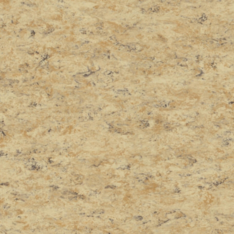 Tarkett Veneto xf2 Linoleum