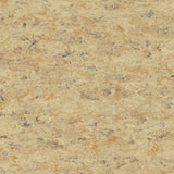 Tarkett Veneto xf2 Linoleum