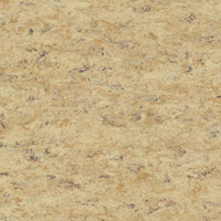 Tarkett Veneto xf2 Linoleum Cork 679 Linoleum