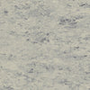 Tarkett Veneto xf2 Linoleum