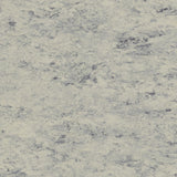 Tarkett Veneto xf2 Linoleum