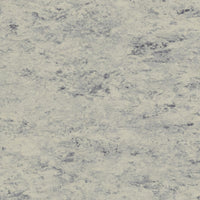 Tarkett Veneto xf2 Linoleum Platinum 684 Linoleum