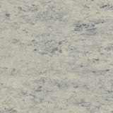 TH_LI_Linoleum_Veneto_684_Platinium_79961ebf-a659-4cd0-9993-1461787c6987