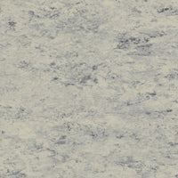 Tarkett Veneto Silencio xf2 19dB Linoleum Platinum 684 Linoleum