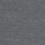 Tarkett Veneto xf2 Linoleum