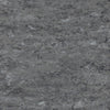 Tarkett Veneto xf2 Linoleum