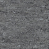 Tarkett Veneto xf2 Linoleum