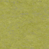 Tarkett Veneto xf2 Linoleum