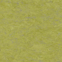 Tarkett Veneto xf2 Linoleum Absinthe 695 Linoleum