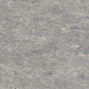 Tarkett Veneto xf2 Linoleum