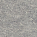 Tarkett Veneto xf2 Linoleum