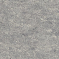 Tarkett Veneto xf2 Linoleum Storm 702 Linoleum
