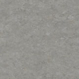 Tarkett Veneto xf2 Linoleum