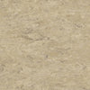 Tarkett Veneto xf2 Linoleum