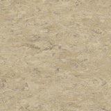 Tarkett Veneto xf2 Linoleum