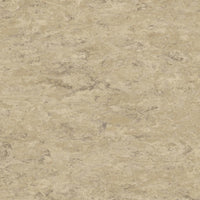 Tarkett Veneto xf2 Linoleum Ecru 711 Linoleum