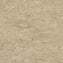 Tarkett Veneto xf2 Linoleum