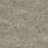 Tarkett Veneto xf2 Linoleum