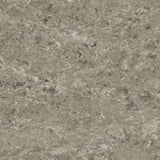 Tarkett Veneto xf2 Linoleum