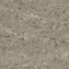 Tarkett Veneto xf2 Linoleum