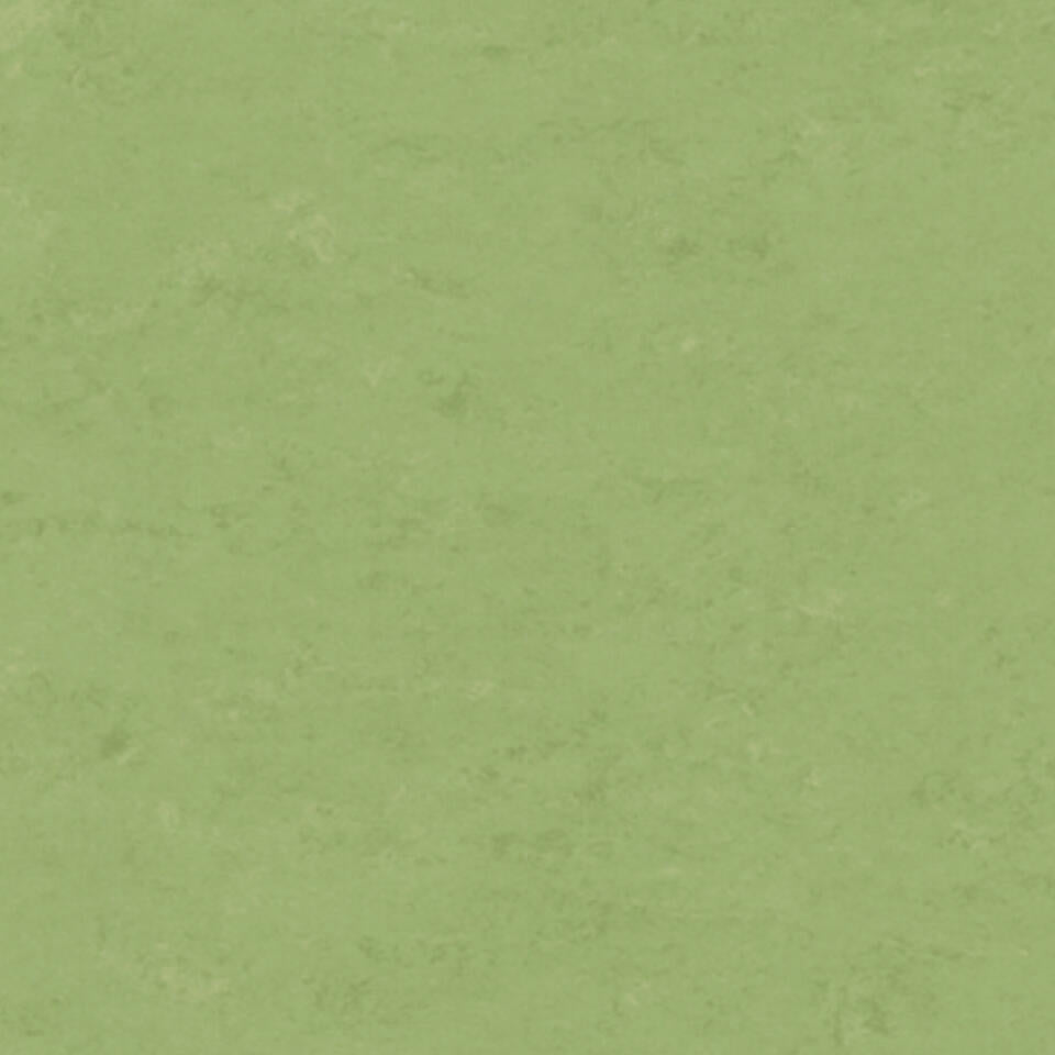 Tarkett Veneto xf2 Linoleum