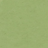 Tarkett Veneto xf2 Linoleum