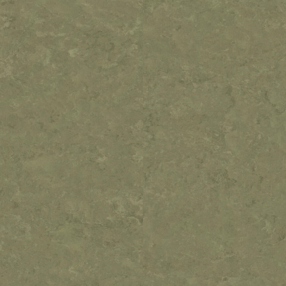 Tarkett Veneto xf2 Linoleum
