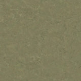 Tarkett Veneto xf2 Linoleum