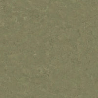 Tarkett Veneto xf2 Linoleum Khaki 757 Linoleum