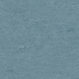 Tarkett Veneto xf2 Linoleum
