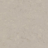 Tarkett Veneto xf2 Linoleum