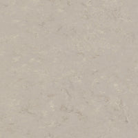 Tarkett Veneto xf2 Linoleum Burlap 911 Linoleum