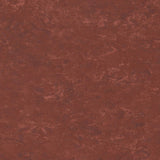 Tarkett Veneto xf2 Linoleum