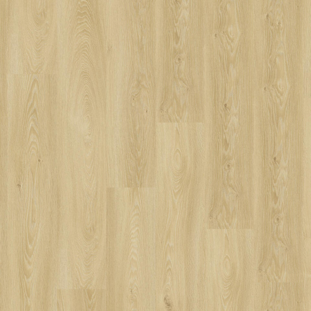 TH_LVT_Tarkett_Living_Cool_Oak_Classic