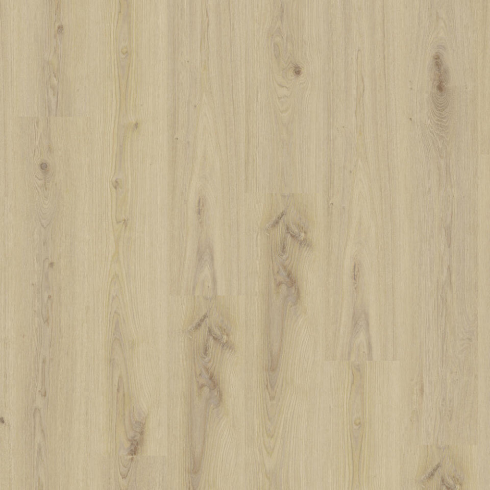 TH_LVT_Tarkett_Living_Primary_Oak_Beige