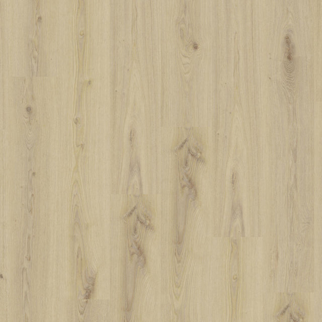 TH_LVT_Tarkett_Living_Primary_Oak_Beige