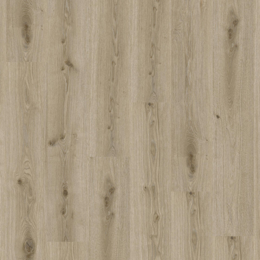 TH_LVT_Tarkett_Living_Primary_Oak_Light_Grey