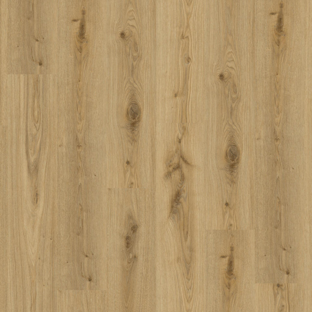 TH_LVT_Tarkett_Living_Primary_Oak_Natural