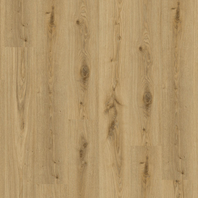 TH_LVT_Tarkett_Living_Primary_Oak_Natural