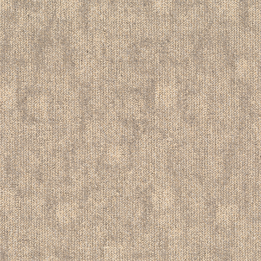 TRACE-106_A_57b97ed9-3c50-4647-b083-a97de2a3b0a0