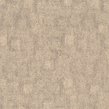 TRACE-106_A_57b97ed9-3c50-4647-b083-a97de2a3b0a0