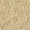 TRACE-238_A